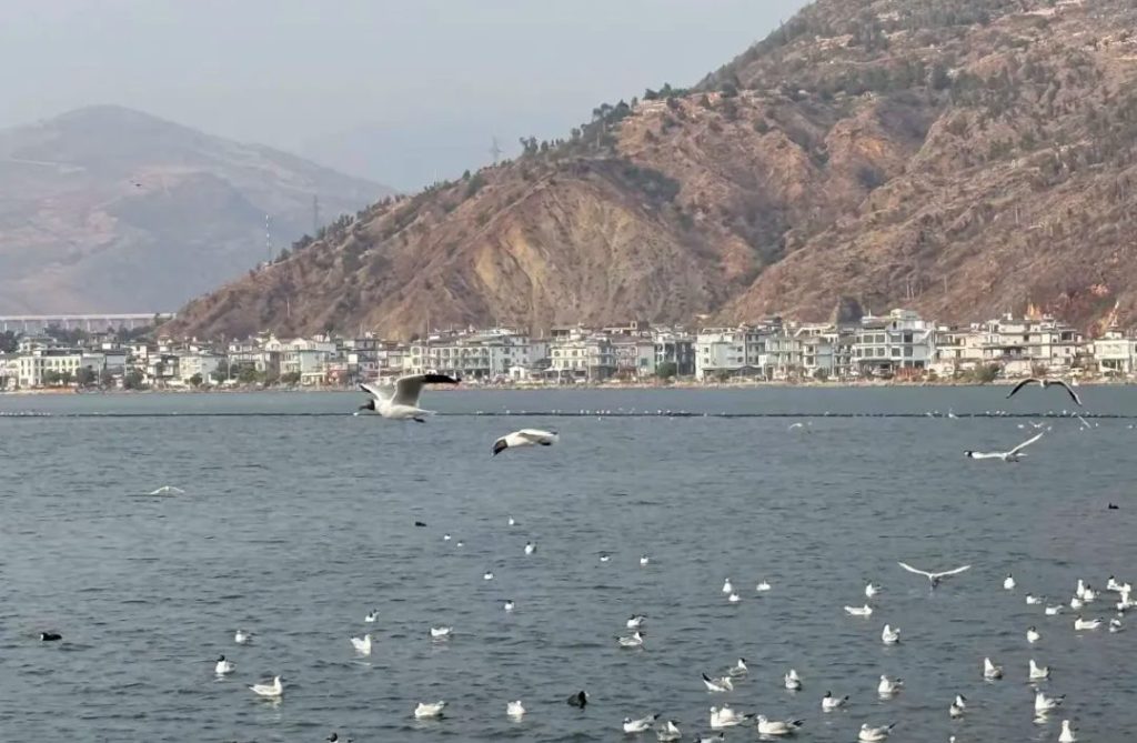 Dali Erhai Lake